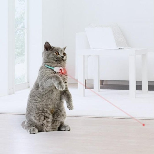 Laser Collar for Cats