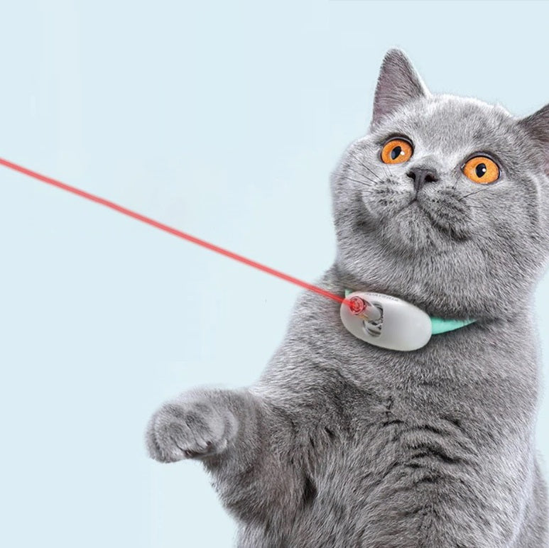 Laser Collar for Cats