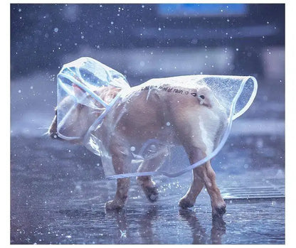 Transparent Waterproof Raincoat