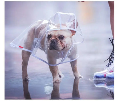 Transparent Waterproof Raincoat